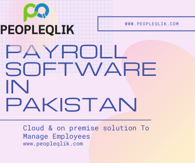 Payroll Software in Pakistan Help To Focus On Business Development