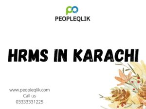 How to Choose the Best Effective HRMS in Karachi?